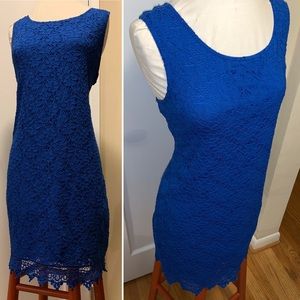Gorgeous Royal Blue Lace Stretch sheath Dress L